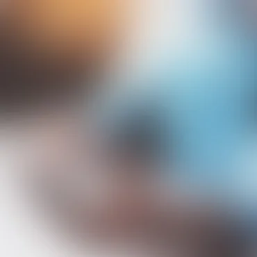 今年会体育