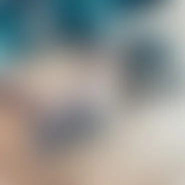 今年会体育